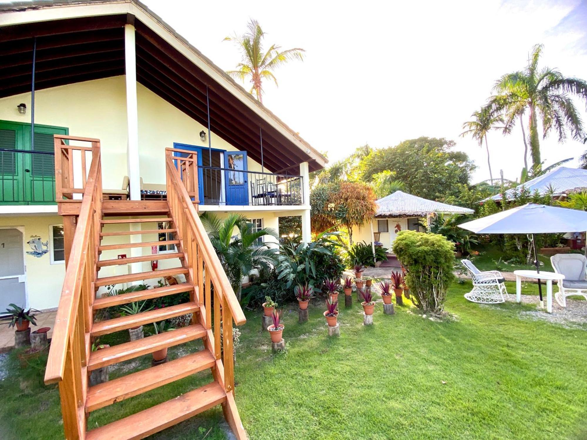 Arena Oceanview Hotel & La Terraza Restaurant Las Galeras Bagian luar foto